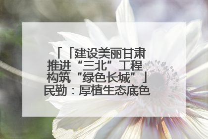 「建设美丽甘肃 推进“三北”工程 构筑“绿色长城”」民勤：厚植生态底色 筑牢绿色屏障