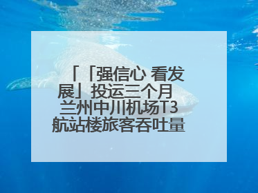 「强信心 看发展」投运三个月 兰州中川机场T3航站楼旅客吞吐量超434万人次