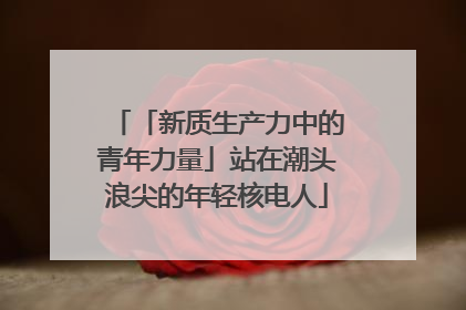 「新质生产力中的青年力量」站在潮头浪尖的年轻核电人