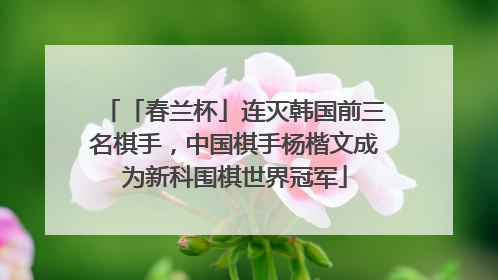 「春兰杯」连灭韩国前三名棋手，中国棋手杨楷文成为新科围棋世界冠军