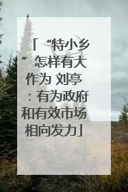 “特小乡”怎样有大作为 刘亭：有为政府和有效市场相向发力
