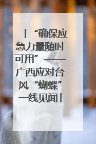 “确保应急力量随时可用”——广西应对台风“蝴蝶”一线见闻