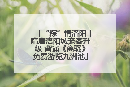 “粽”情洛阳丨隋唐洛阳城宠客升级 背诵《离骚》免费游览九洲池