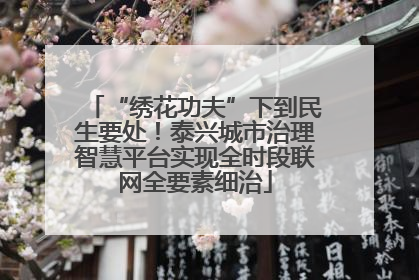 “绣花功夫”下到民生要处！泰兴城市治理智慧平台实现全时段联网全要素细治