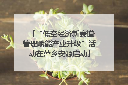 “低空经济新赛道·管理赋能产业升级”活动在萍乡安源启动