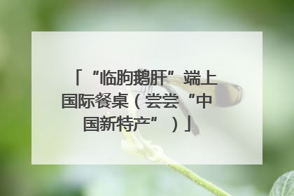 “临朐鹅肝”端上国际餐桌（尝尝“中国新特产”）