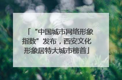 “中国城市网络形象指数”发布，西安文化形象居特大城市榜首