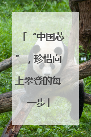“中国芯”，珍惜向上攀登的每一步