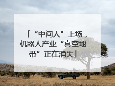 “中间人”上场，机器人产业“真空地带”正在消失