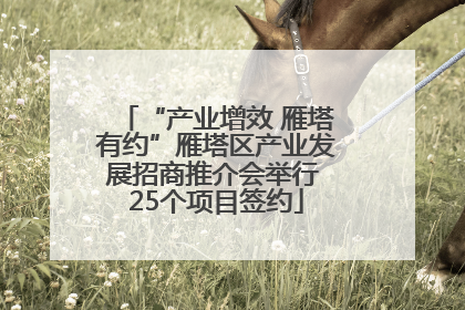 “产业增效 雁塔有约”雁塔区产业发展招商推介会举行 25个项目签约