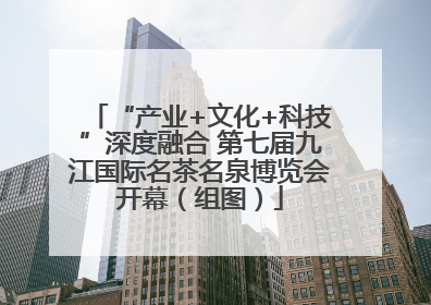 “产业+文化+科技”深度融合 第七届九江国际名茶名泉博览会开幕（组图）