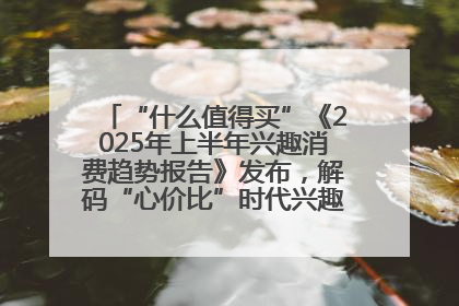 “什么值得买”《2025年上半年兴趣消费趋势报告》发布，解码“心价比”时代兴趣消费新范式