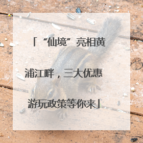 “仙境”亮相黄浦江畔，三大优惠游玩政策等你来