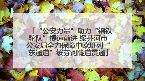 “公安力量”助力“钢铁驼队”提速前进 绥芬河市公安局全力保障中欧班列“东通道”绥芬河隧道贯通