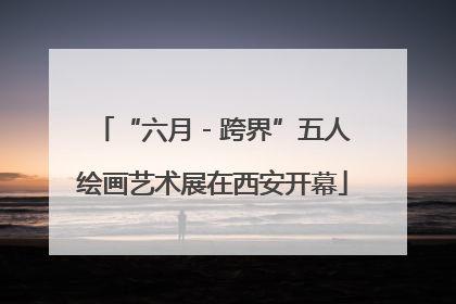 “六月 - 跨界”五人绘画艺术展在西安开幕