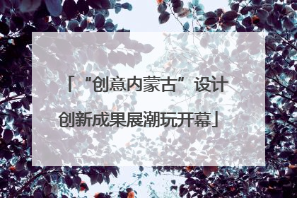 “创意内蒙古”设计创新成果展潮玩开幕