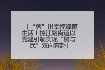 “剪”出幸福绿荫生活！控江路街道以党建引领实现“树与民”双向奔赴