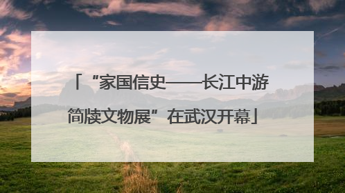 “家国信史——长江中游简牍文物展”在武汉开幕