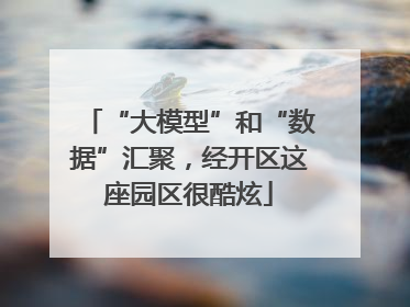 “大模型”和“数据”汇聚，经开区这座园区很酷炫