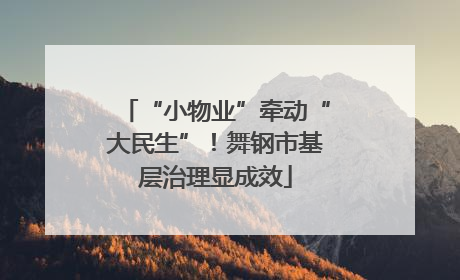“小物业”牵动“大民生”！舞钢市基层治理显成效