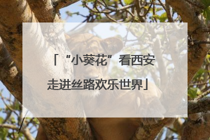 “小葵花”看西安走进丝路欢乐世界