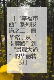 “幸福市西”系列报道之二：盛华路，从“卡脖路”到“景观大道”的华丽转身