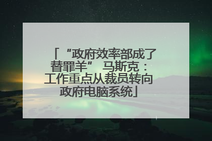 “政府效率部成了替罪羊” 马斯克：工作重点从裁员转向政府电脑系统