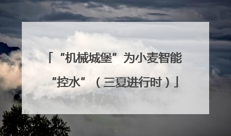 “机械城堡”为小麦智能“控水”（三夏进行时）