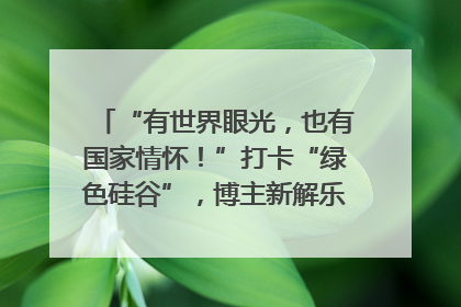“有世界眼光，也有国家情怀！”打卡“绿色硅谷”，博主新解乐山｜网络名人四川行