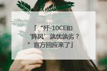 “歼-10CE和‘阵风’孰优孰劣？”官方回应来了