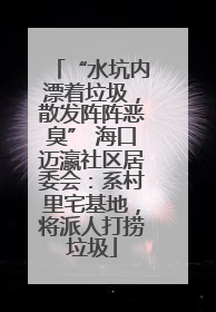 “水坑内漂着垃圾，散发阵阵恶臭” 海口迈瀛社区居委会：系村里宅基地，将派人打捞垃圾