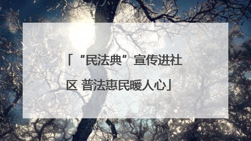 “民法典”宣传进社区 普法惠民暖人心