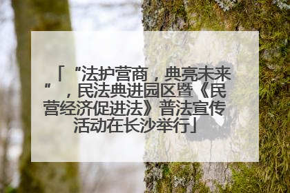“法护营商，典亮未来”，民法典进园区暨《民营经济促进法》普法宣传活动在长沙举行