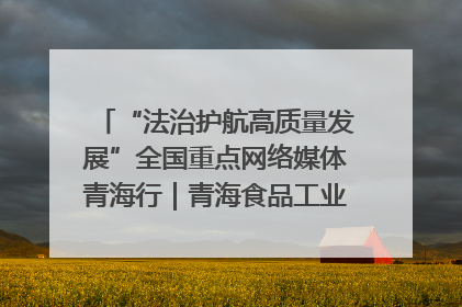 “法治护航高质量发展”全国重点网络媒体青海行｜青海食品工业协会：架起“青字号”美食的产业化桥梁