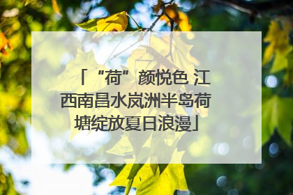 “荷”颜悦色 江西南昌水岚洲半岛荷塘绽放夏日浪漫