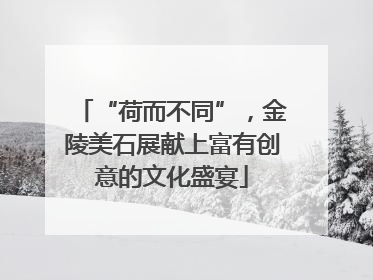 “荷而不同”，金陵美石展献上富有创意的文化盛宴