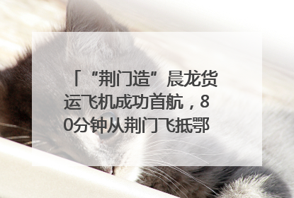 “荆门造”晨龙货运飞机成功首航，80分钟从荆门飞抵鄂州花湖机场