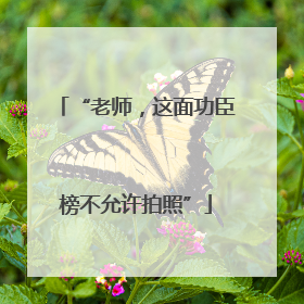 “老师，这面功臣榜不允许拍照”