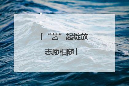 “艺”起绽放 志愿相随