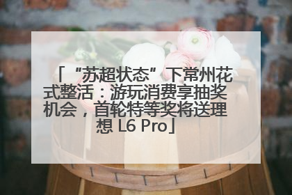 “苏超状态”下常州花式整活：游玩消费享抽奖机会，首轮特等奖将送理想 L6 Pro
