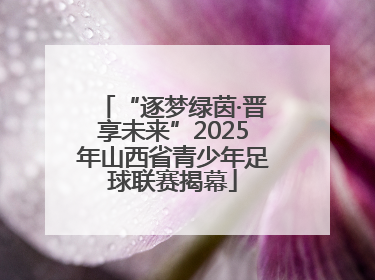 “逐梦绿茵·晋享未来”2025年山西省青少年足球联赛揭幕
