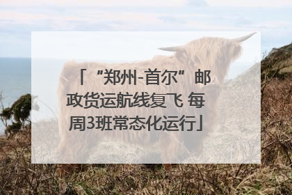 “郑州-首尔”邮政货运航线复飞 每周3班常态化运行