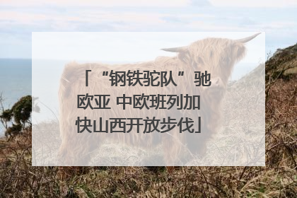 “钢铁驼队”驰欧亚 中欧班列加快山西开放步伐
