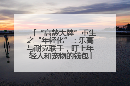 “高龄大牌”重生之“年轻化”：乐高与耐克联手，盯上年轻人和宠物的钱包