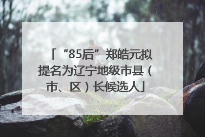 “85后”郑皓元拟提名为辽宁地级市县（市、区）长候选人