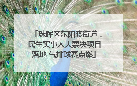 珠晖区东阳渡街道：民生实事人大票决项目落地 气排球赛点燃