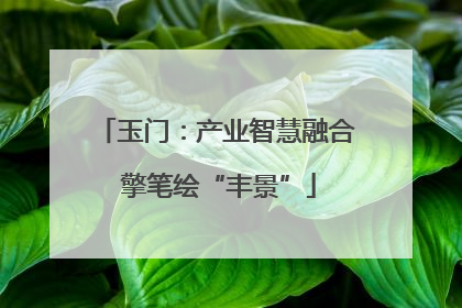 玉门：产业智慧融合 擎笔绘“丰景”