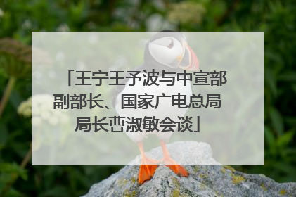 王宁王予波与中宣部副部长、国家广电总局局长曹淑敏会谈