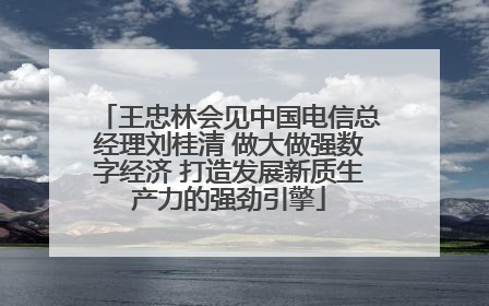 王忠林会见中国电信总经理刘桂清 做大做强数字经济 打造发展新质生产力的强劲引擎