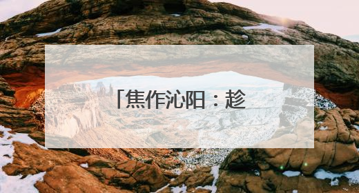焦作沁阳：趁天抢时麦收忙